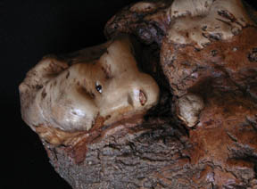 thumbnail of transforming woman, carved wood